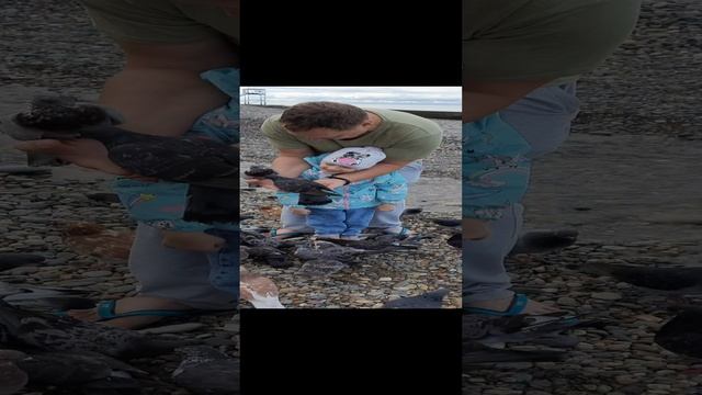 RELAX смотреть онлайн