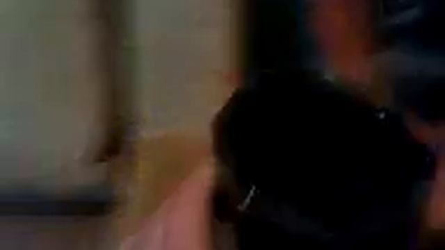 Прикол!Голубь бухает!Вода-водой!/Trick! The pigeon thumps! смотреть онлайн
