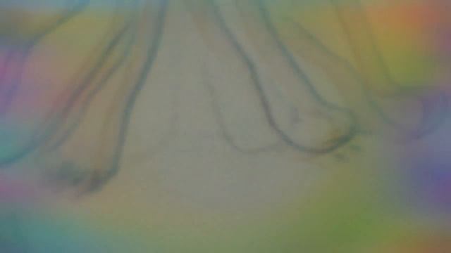 История Котов (маленький мультик) В серии "бедная Кейти" смотреть онлайн