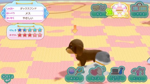 Wan Nyan Pet Shop: Kawaii Pet to Fureau Mainichi 「わんニャンペットショップ　かわいいペットとふれあう毎日』First Look on Switch смотреть онлайн