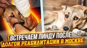 На Линду никто не откликнулся, привезли ее обратно в Ставрополь после долгой реабилитации и операций