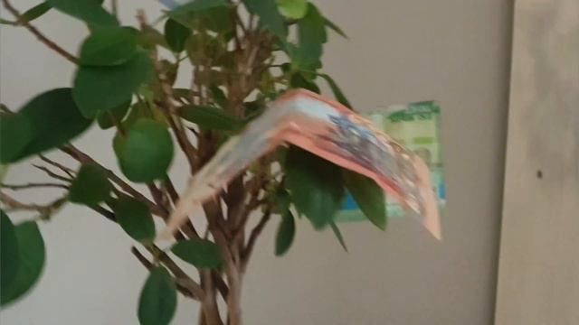 что можно сделать из монет смотреть онлайн