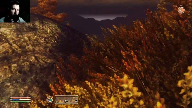 Let's play Good old games: The Elder Scrolls IV Oblivion Part 187 PermaDeath