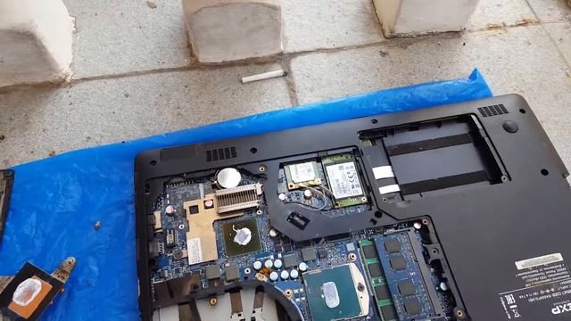 Тараканы в ноутбуке (cockroaches in laptop) смотреть онлайн