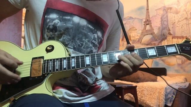 Oasis - Fucking In The Bushes (Guitar Cover) смотреть онлайн
