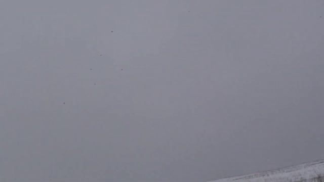 НА ПРОГУЛКЕ, собачкой ЛАДА!!! БЕЗ ПАНИКИ!!!05 марта. 2022г. смотреть онлайн