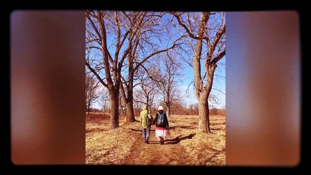 Петергоф - Кронштадт Экспресс смотреть онлайн