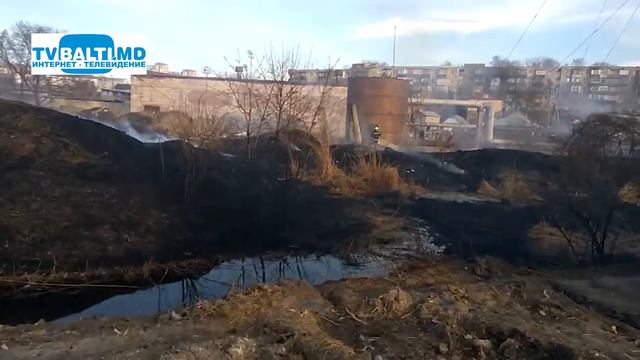 Вблизи рынка в Бельцах горел сухостой 14 03 19 смотреть онлайн
