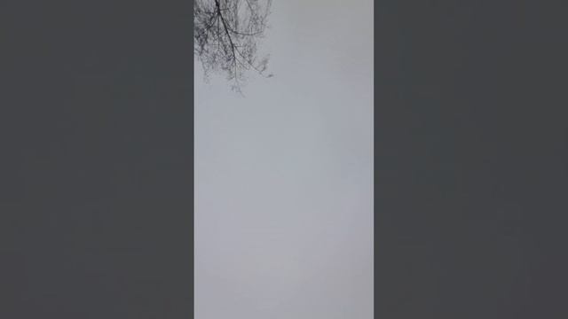 почему в России не нужна демократия?! смотреть онлайн