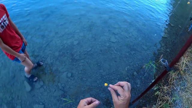 много поклевок ночью к сожалению . все что снимал не видно. 10 сазанов. рыбалка июнь 2022 смотреть онлайн