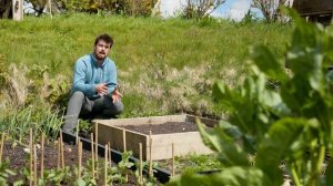 Идеальный размер приподнятой грядки для высокой производительности в небольших пространствах