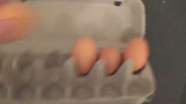 Наука о Здоровье и Жизни