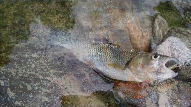 JigLine Ultra смотреть онлайн
