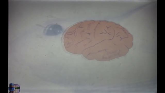 Stuart Little - His Adventures In Numberland (CD-ROM Longplay #20)