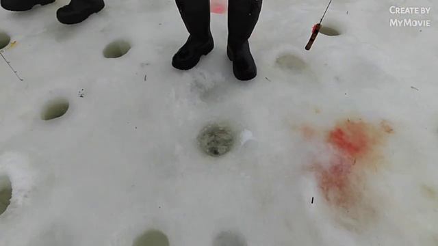 Рыбалка в Красногорске, Спортзона смотреть онлайн
