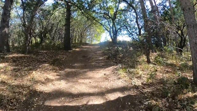 Подготовка к tengri ultra trail «Развитие АэП» 11км / 1100м+ | Pedro Vizuete смотреть онлайн