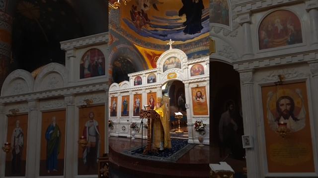 Проповедь в Неделю 23-ю по Пятидесятнице, Начало Рождественского поста, Запись эфира в инстаграм смотреть онлайн