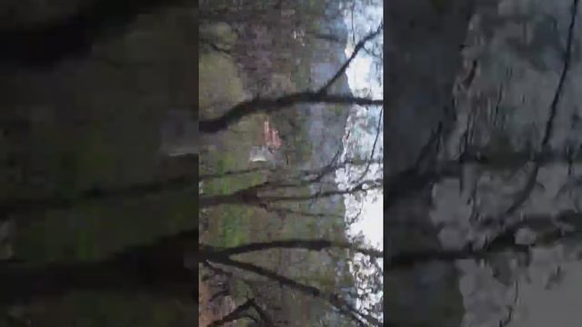 Кипр,тродос смотреть онлайн