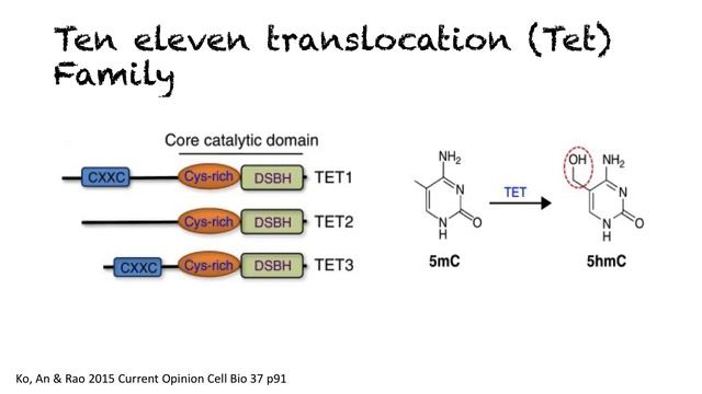 Biology Lecture Fairfield University смотреть онлайн