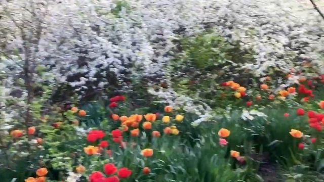 Парк отель Каньон