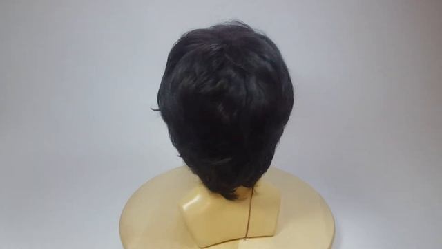 Искусственный парик DG-7101#2 смотреть онлайн