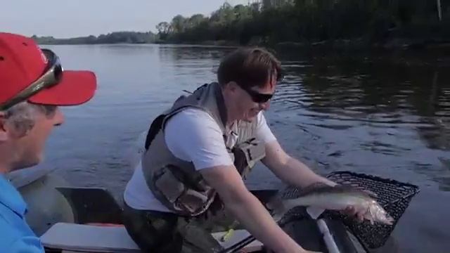 Рибалка судакы в реке смотреть онлайн