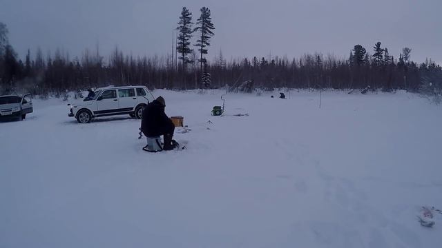Убойная раздача окуня в Новом 2021 году часть № 1 смотреть онлайн