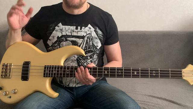 PRO используемое оборудование на видео для бас гитары смотреть онлайн