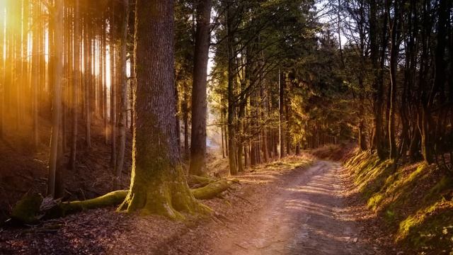 Анна не хотела идти домой, ведь там её ожидали дочь с зятем, которые сидели на её шее. Но, услышав. смотреть онлайн