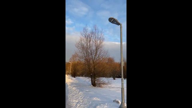 ВДНХ. Городская ферма. Зимняя прогулка #вднх #городскаяферма #2024 #москва #кудасходитьвмоскве смотреть онлайн