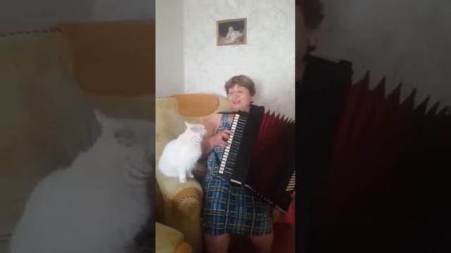 САМЫЙ ВНИМАТЕЛЬНЫЙ ЗРИТЕЛЬ 😂😂 смотреть онлайн