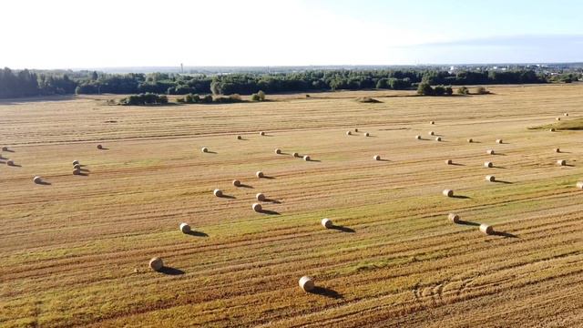 Mavic mini как выглядит смонтированное видео на телефоне смотреть онлайн