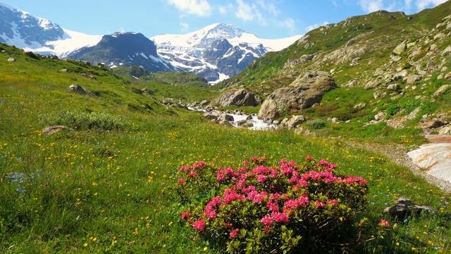 5 часов звуков горной реки - Альпийская река - Звуки природы для расслабления, сна смотреть онлайн