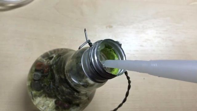 Первый морской аквариум в лампочке ? смотреть онлайн