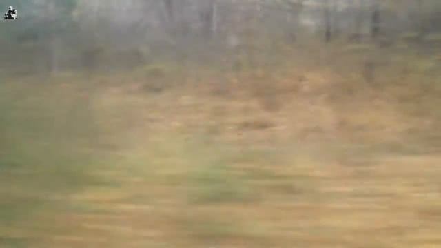 Рыбалка на р. Лух. Достопримечательности края (03.10.14) смотреть онлайн