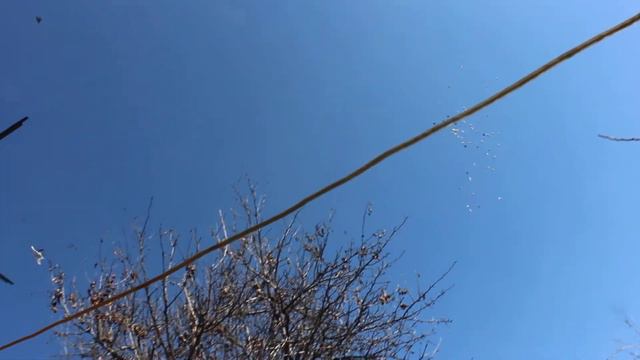 а тем временем, пока меня нету дома... смотреть онлайн