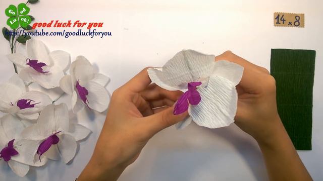 How To Make Paper Flower Crepe - Phalaenopsis Orchids Indoor Flowers Plant | DIY Paper Craft смотреть онлайн