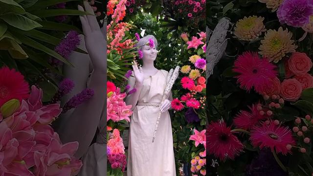 На празднике цветов очень красиво 🌷🌺🌹🥀💐 смотреть онлайн