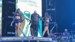 Pitbull Live