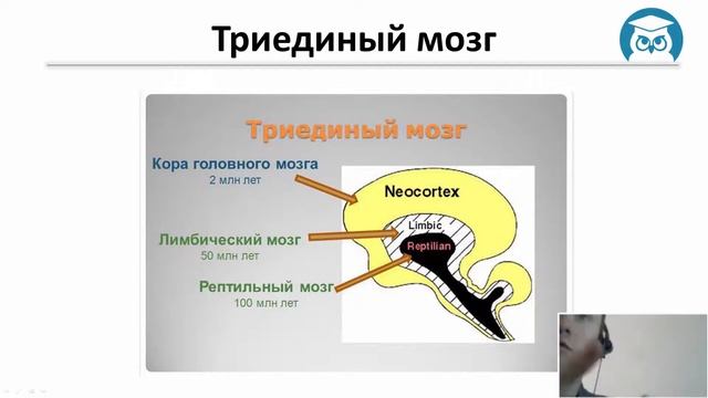 Занятие 7-3. Режущая правда о трейдинге смотреть онлайн