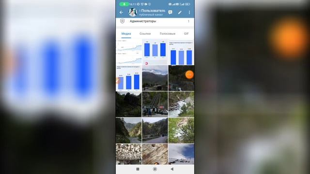Как искать видео в Телеграмме? смотреть онлайн
