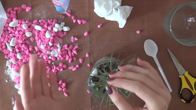 DIY Airplant Gift Set With Phyt смотреть онлайн