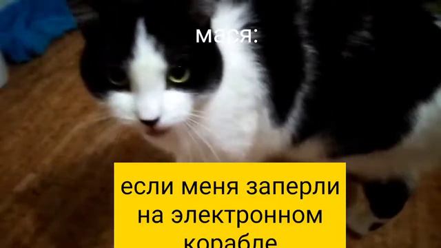 мои коты играют в амонг ас 2 часть!😺☪️ смотреть онлайн