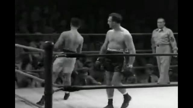 смешной боксер   Funny Boxer