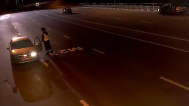 Волки выходят к людям! Жесть смотреть онлайн