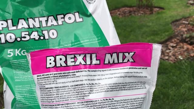 РОЗЫ ОБРАБОТКА , РОЗЫ-Минеральное Удобрение, микроэлементы .