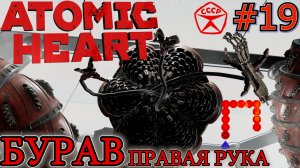 ЗМЕЙКА. БУРАВ. КРАСНАЯ СТРЕЛКА. ПРАВАЯ РУКА КЛАРЫ. ЗАЛ БЕЛУГИ. Прохождение Atomic Heart #19