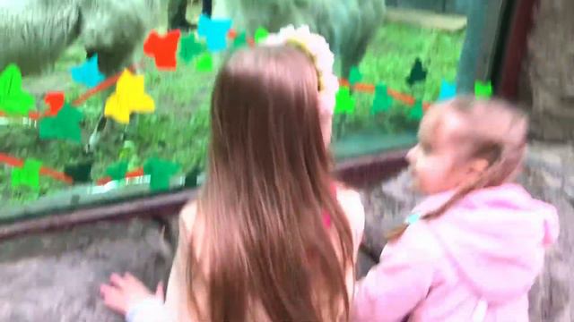 Киевский зоопарк Кормим животных Варя и Стеша смотреть онлайн