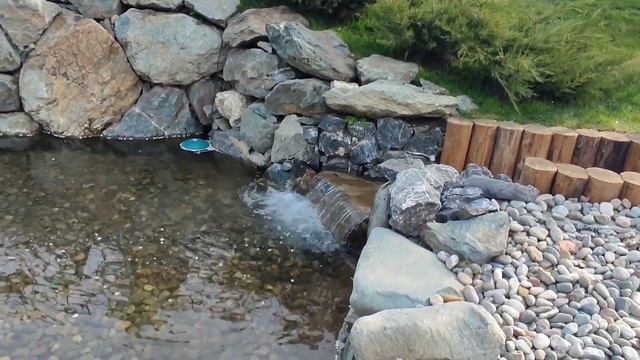 В японском саду Краснодарского  парка можно гулять и отдыхать. Виды  замечательные .