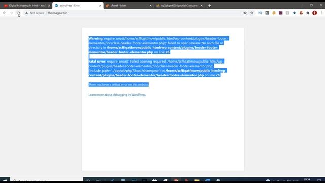 There has been a critical error on your website | critical error WordPress | Go Daddy смотреть онлайн